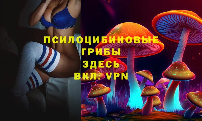 Псилоцибиновые грибы MAGIC MUSHROOMS  kraken ССЫЛКА  Домодедово 